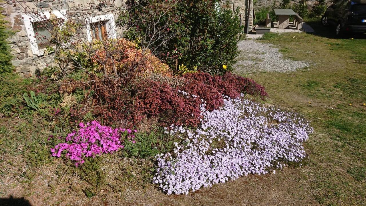 泰廖Casa Delle Rose别墅 外观 照片
