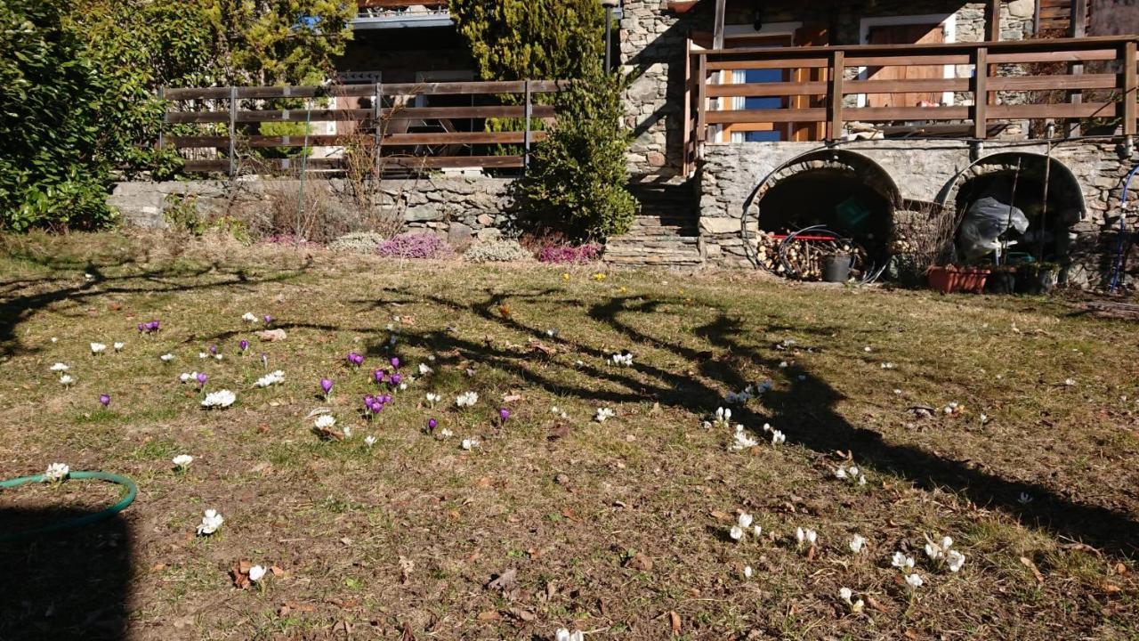 泰廖Casa Delle Rose别墅 外观 照片