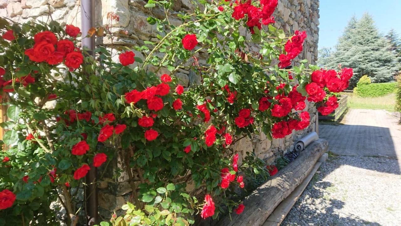 泰廖Casa Delle Rose别墅 外观 照片