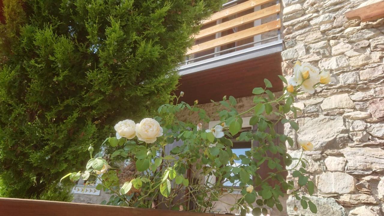 泰廖Casa Delle Rose别墅 外观 照片