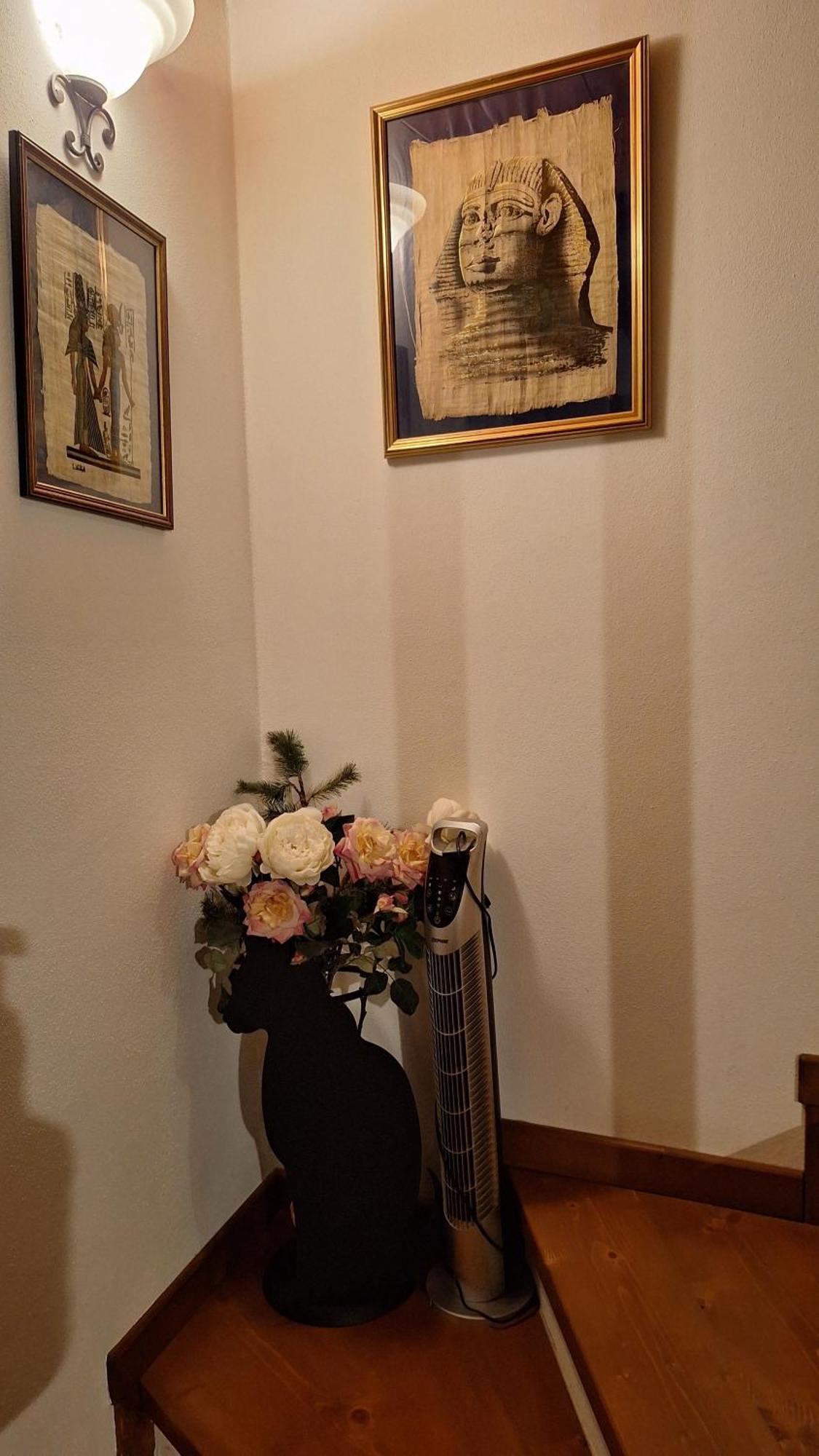 泰廖Casa Delle Rose别墅 外观 照片