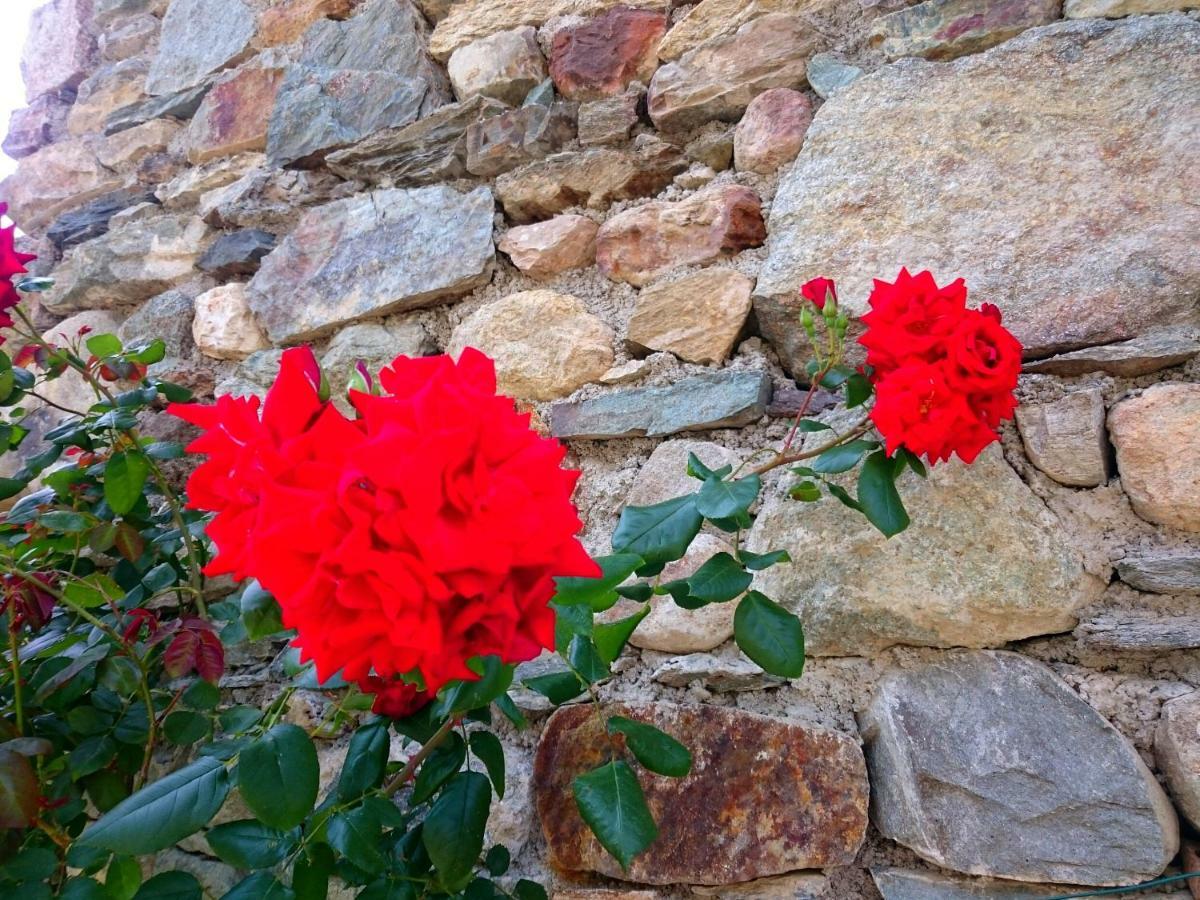 泰廖Casa Delle Rose别墅 外观 照片