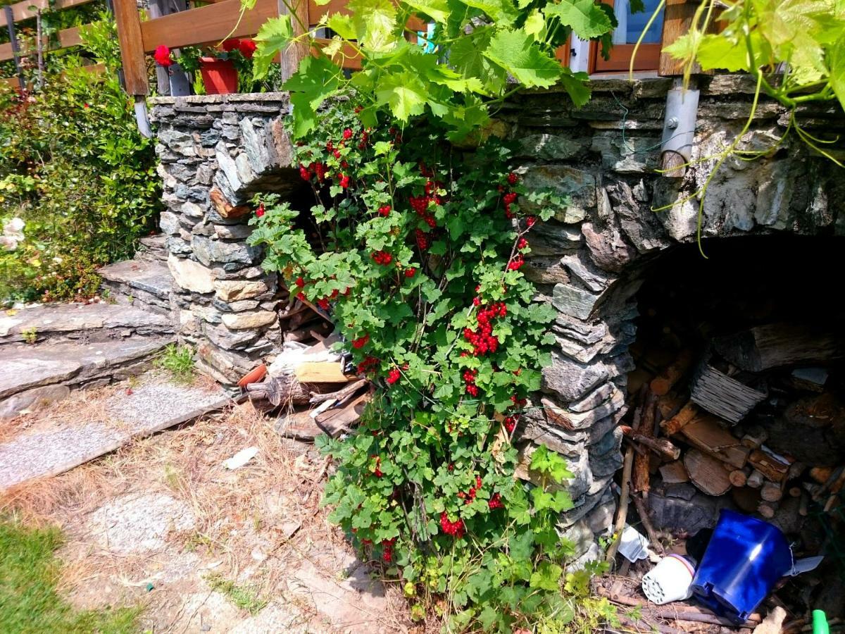 泰廖Casa Delle Rose别墅 外观 照片